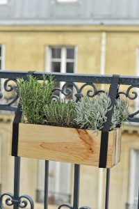 Compléter ma balconnière : tenace, immuable et grillé