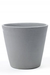 plantes en pot balcon