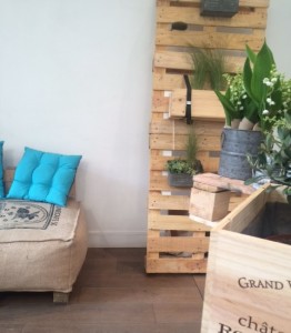 boutique de plantes à paris