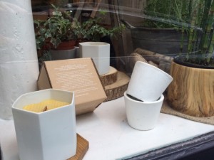 boutique de plantes à paris