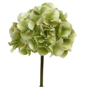 livraison plante