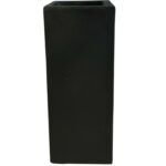 Tall Dark